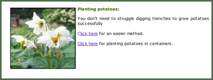 Planting potatoes:  You don't need to struggle digging trenches to grow potatoes successfully&nbsp;  Click here for an easier method.  Click here for planting potatoes in containers.