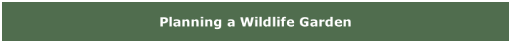 Planning a Wildlife Garden