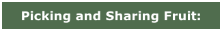 Picking and Sharing Fruit: